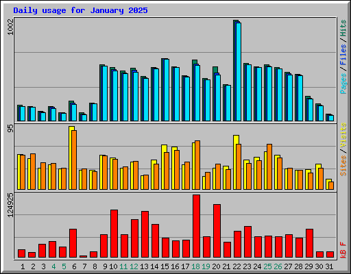 Daily usage for January 2025