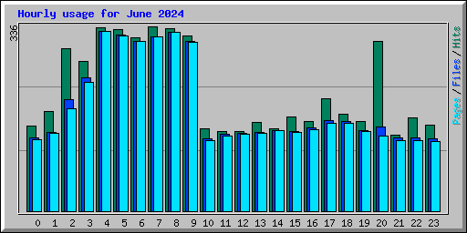 Hourly usage for June 2024