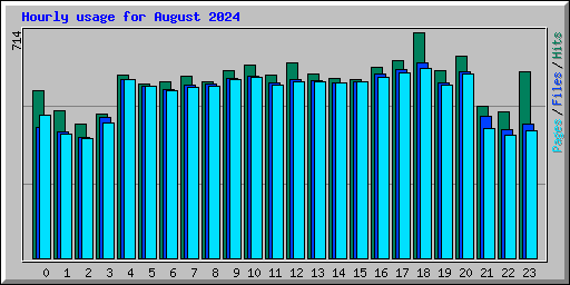 Hourly usage for August 2024