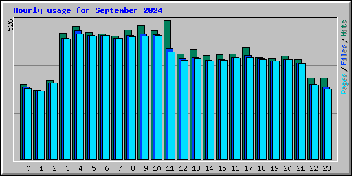 Hourly usage for September 2024