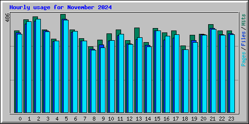 Hourly usage for November 2024