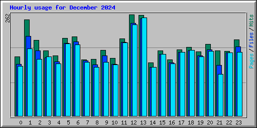 Hourly usage for December 2024