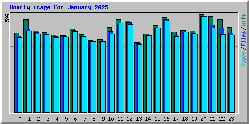 Hourly usage for January 2025