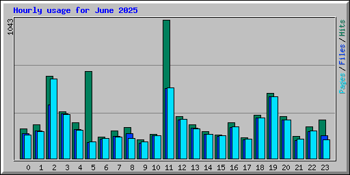 Hourly usage for June 2025