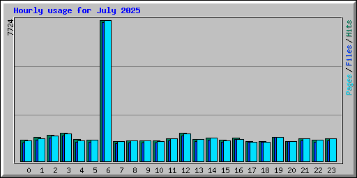 Hourly usage for July 2025