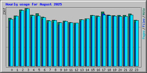 Hourly usage for August 2025