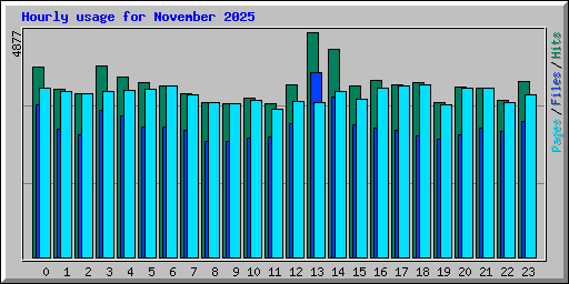 Hourly usage for November 2025
