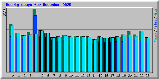 Hourly usage for December 2025