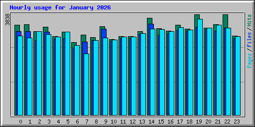 Hourly usage for January 2026